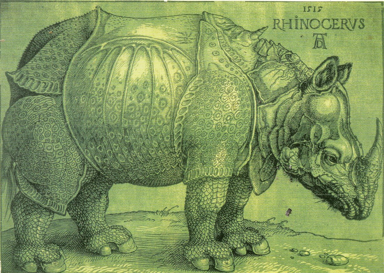  av Albrecht Dürer