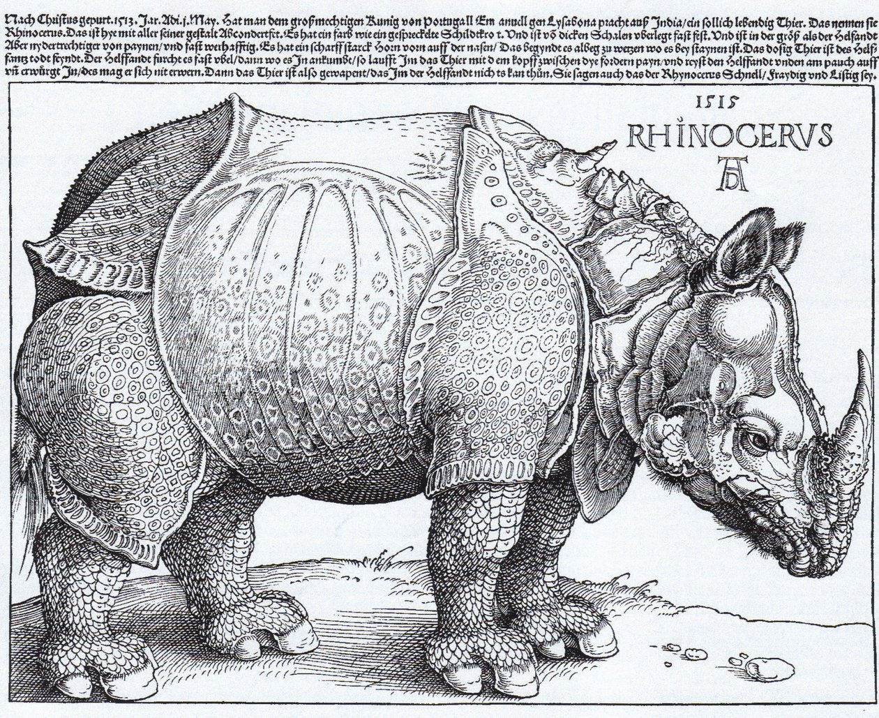  av Albrecht Dürer