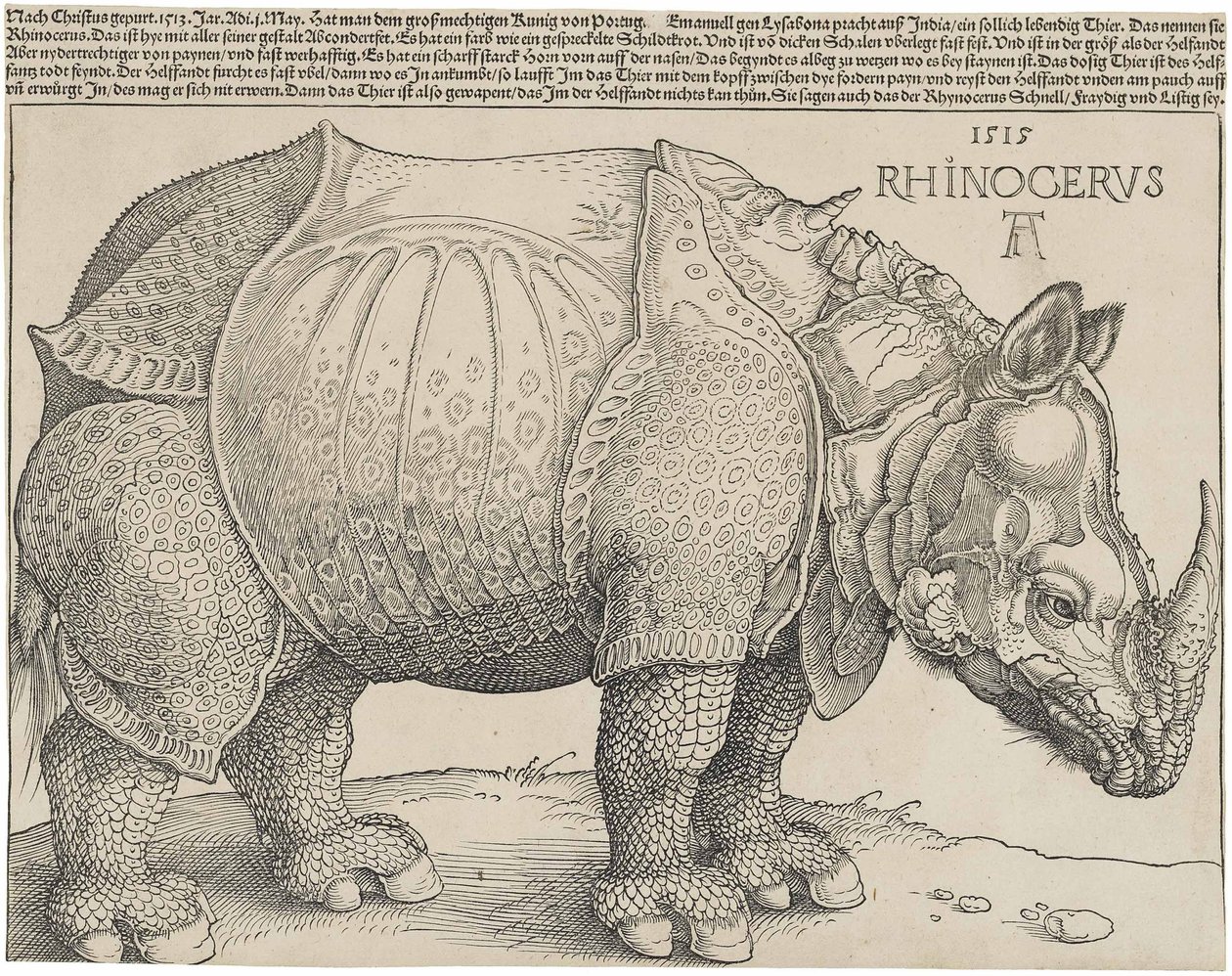  av Albrecht Dürer