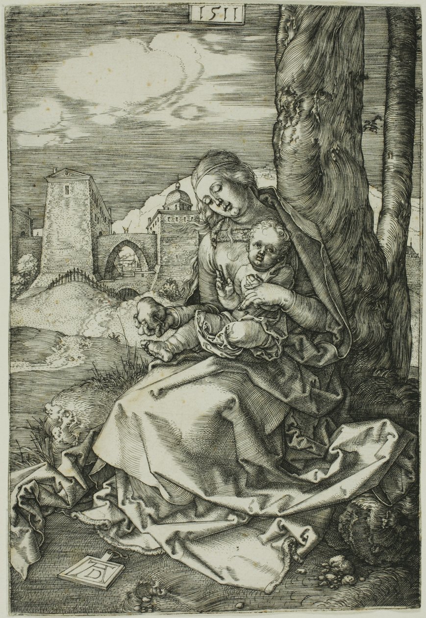 Madonna med pæren av Albrecht Dürer