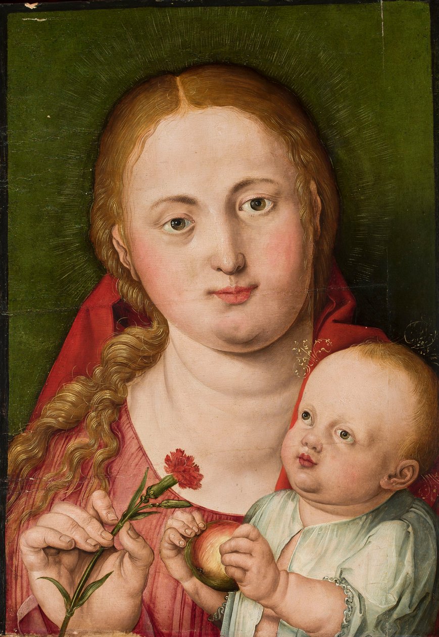 Madonna med barnet og en nellik av Albrecht Dürer