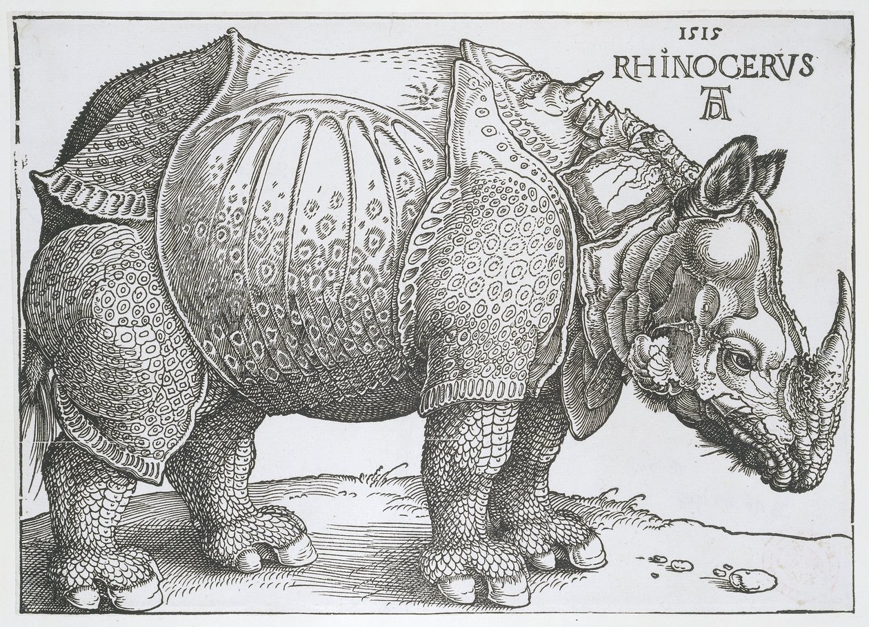 Neushoorn Neshorn (tittel på objekt) av Albrecht Dürer