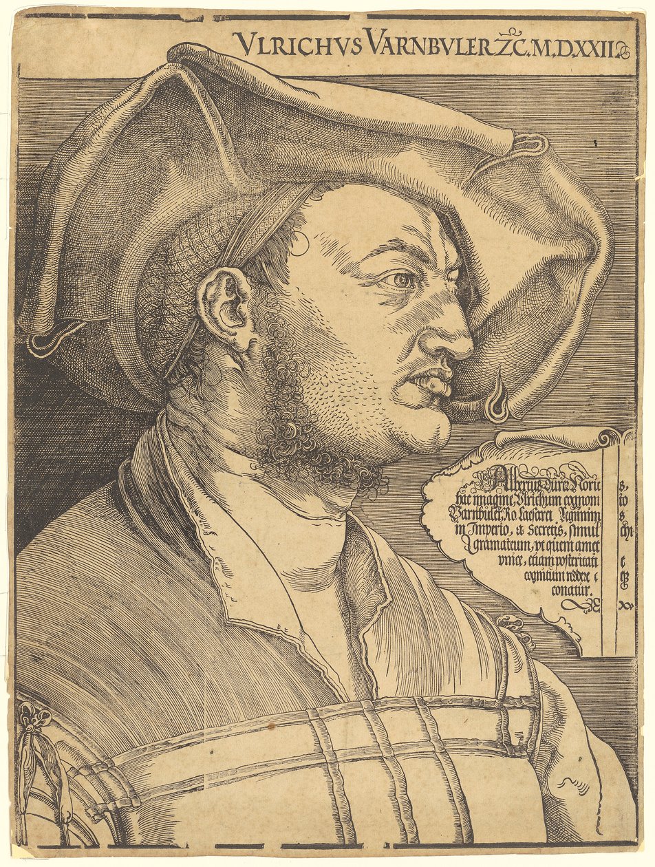 Portrett av Ulrich Varnbüler av Albrecht Dürer