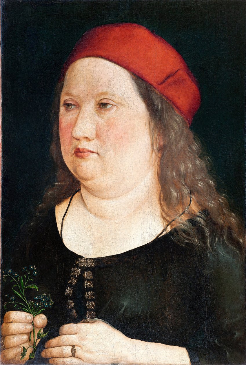 Portrett av en mann, 1497 av Albrecht Dürer