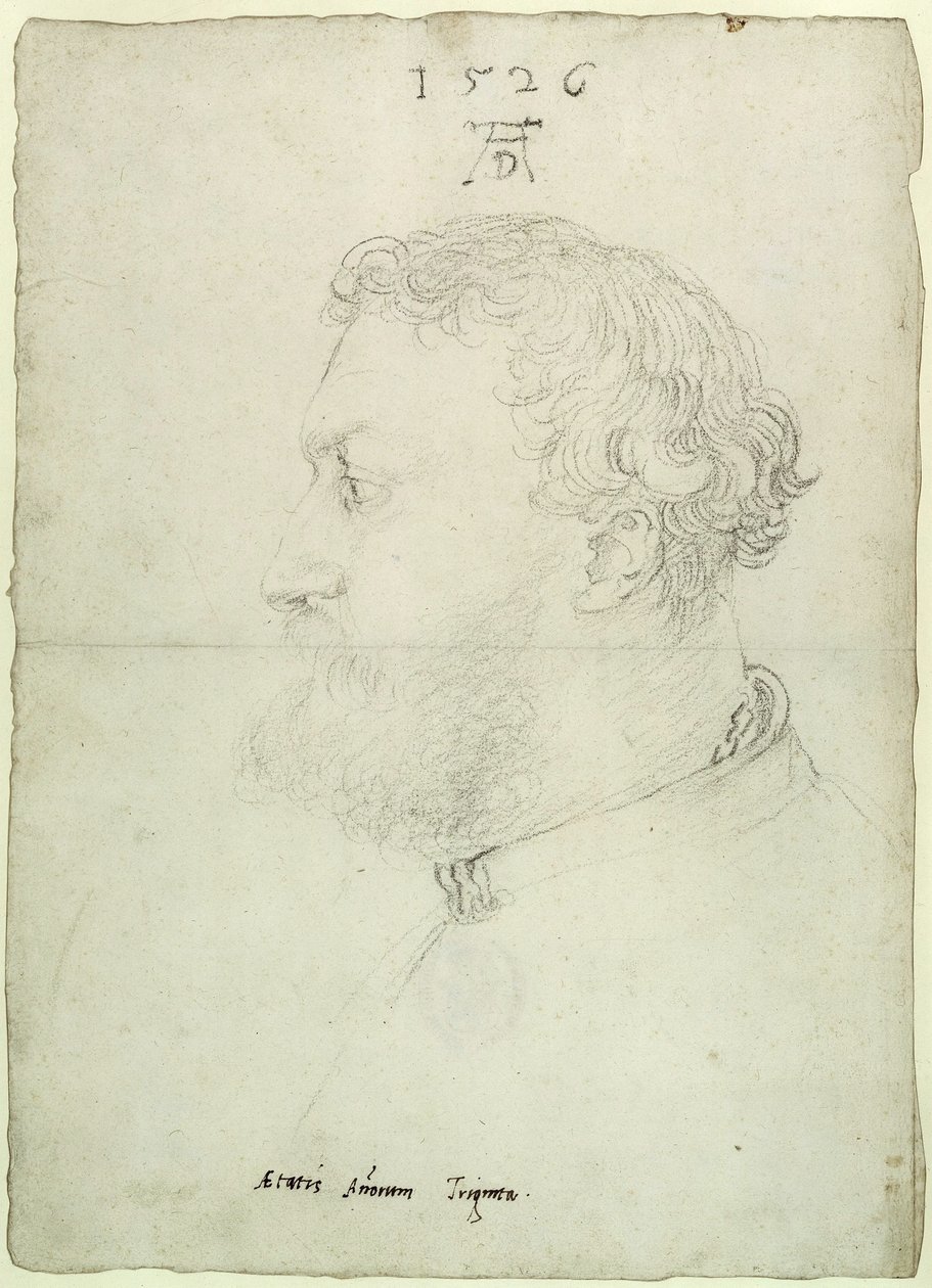 Profilportrett av Raimund Fugger av Albrecht Dürer