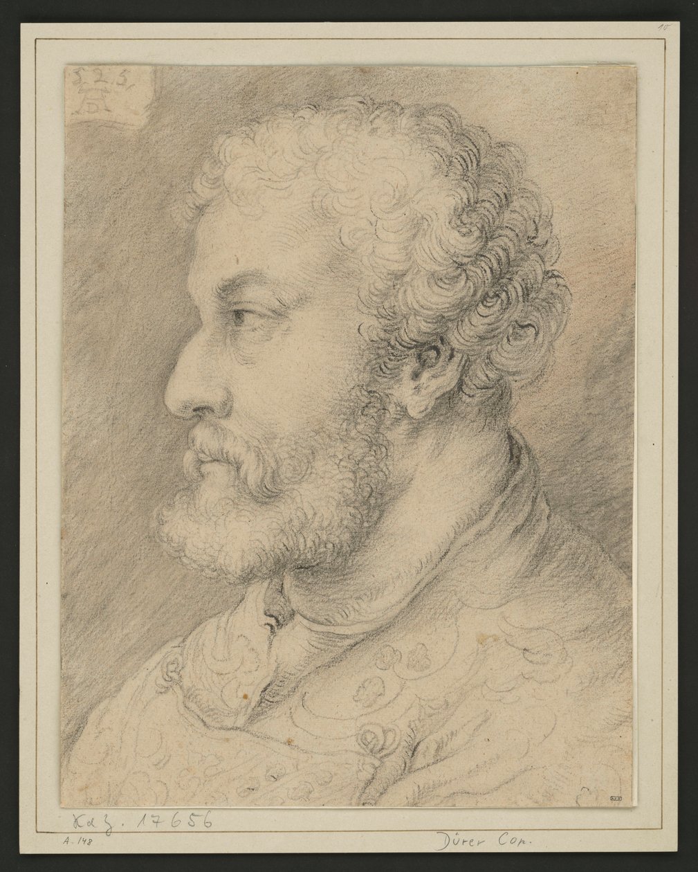 Profilportrett av Raymund Fugger? av Albrecht Dürer