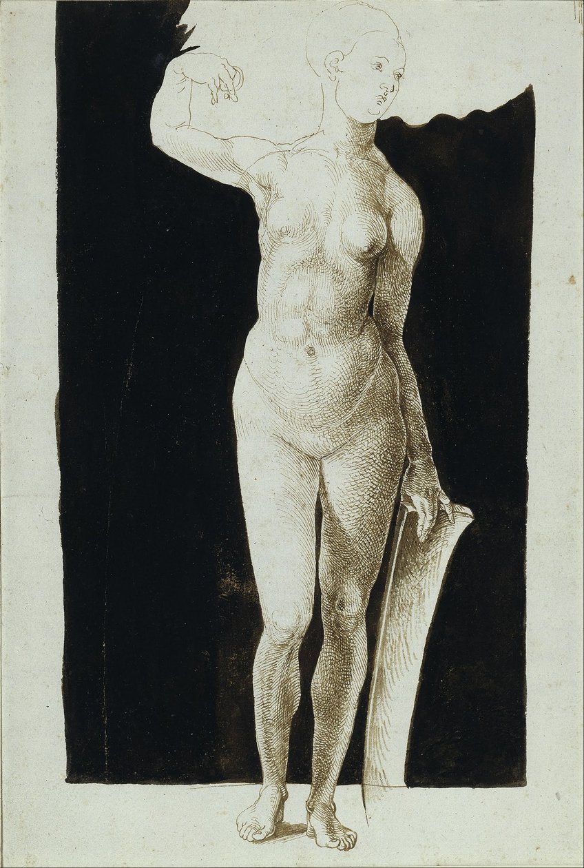  av Albrecht Dürer