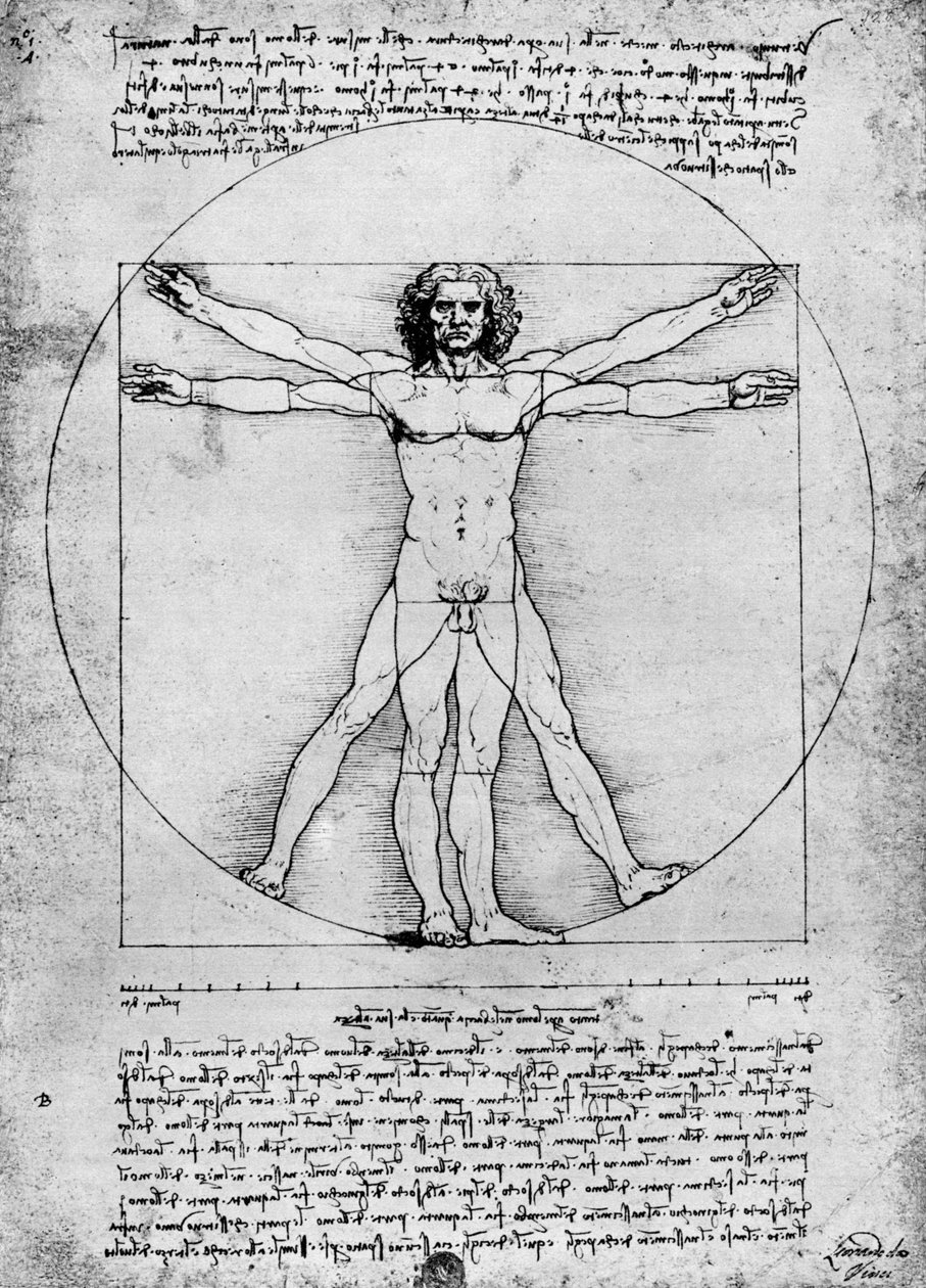 Proporsjoner av den menneskelige figuren, c1492, 1936 av Albrecht Dürer