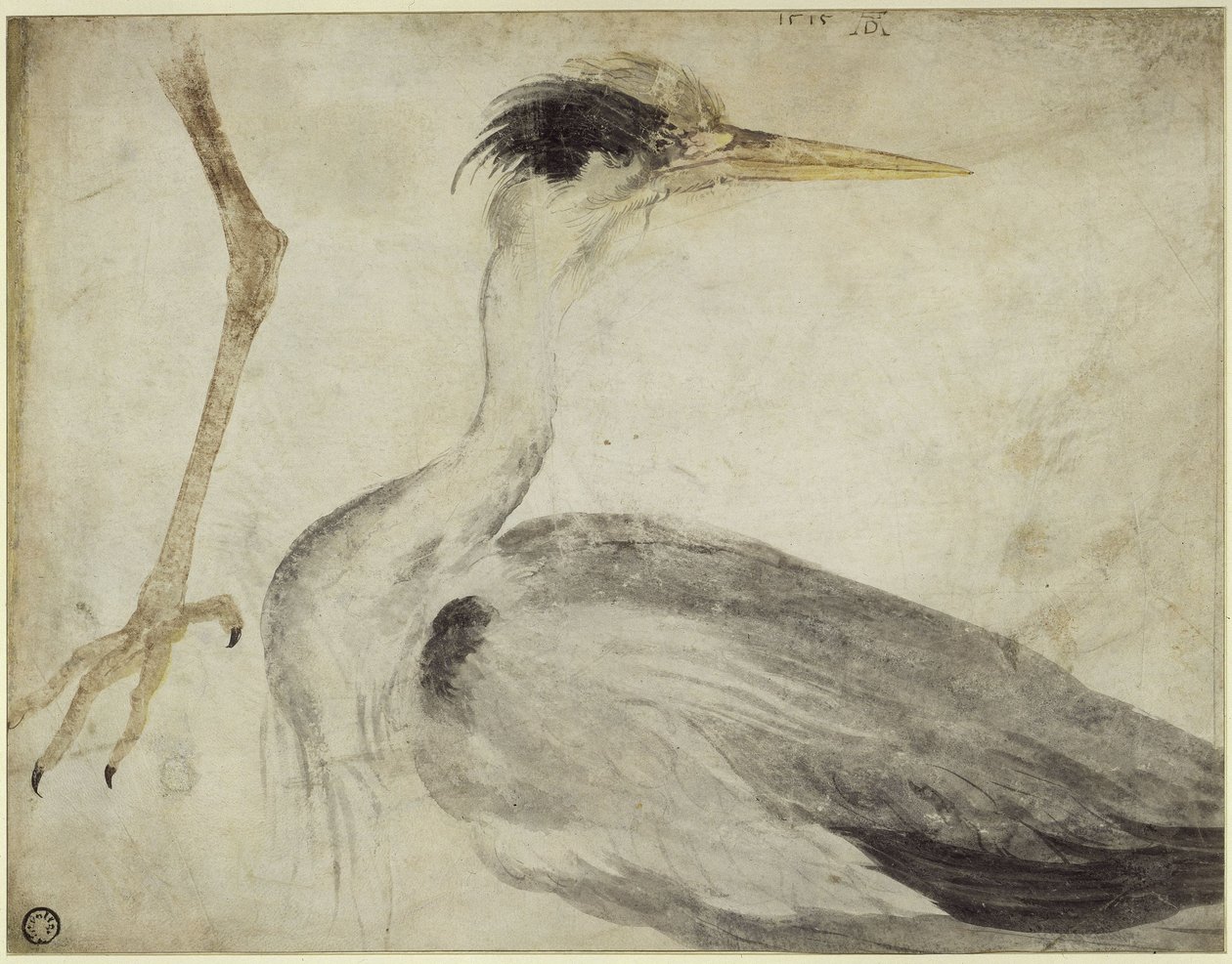 Hegre av Albrecht Dürer