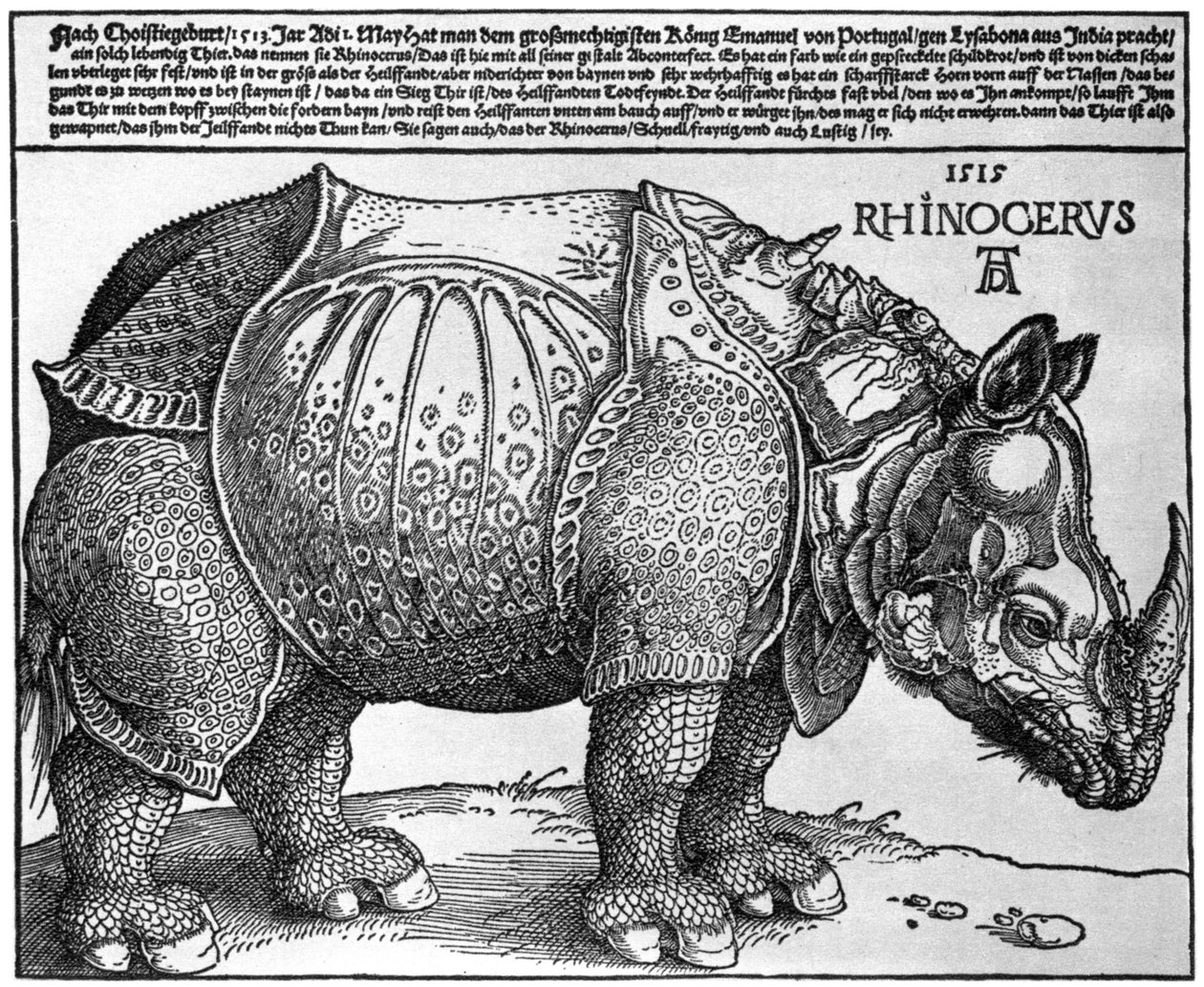 Rhinoceros, trykk gitt til Maximilian I av kongen av Lisboa, 1515, 1936 av Albrecht Dürer