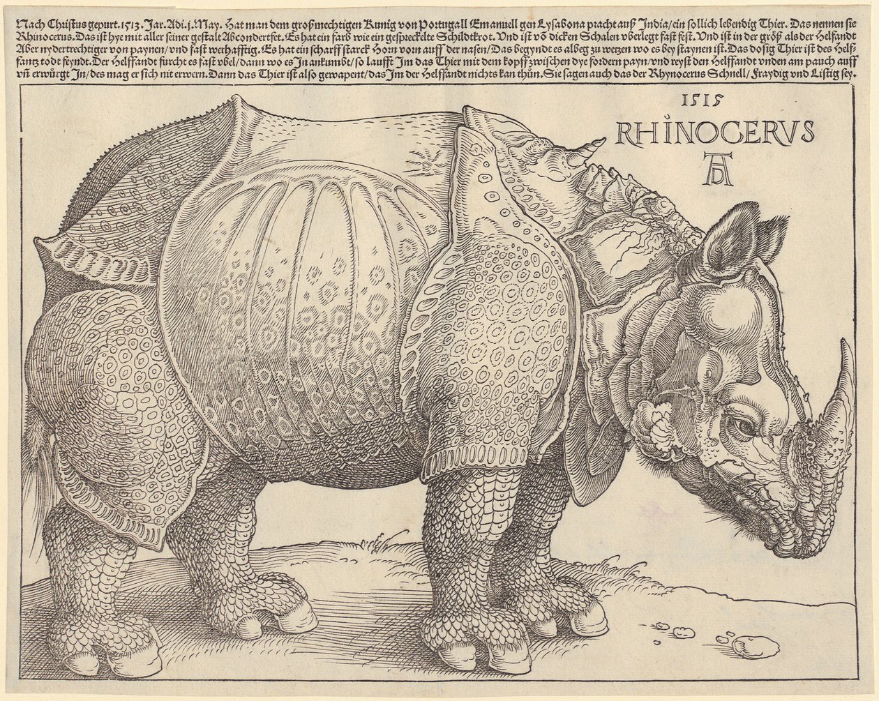 Neshorn av Albrecht Dürer