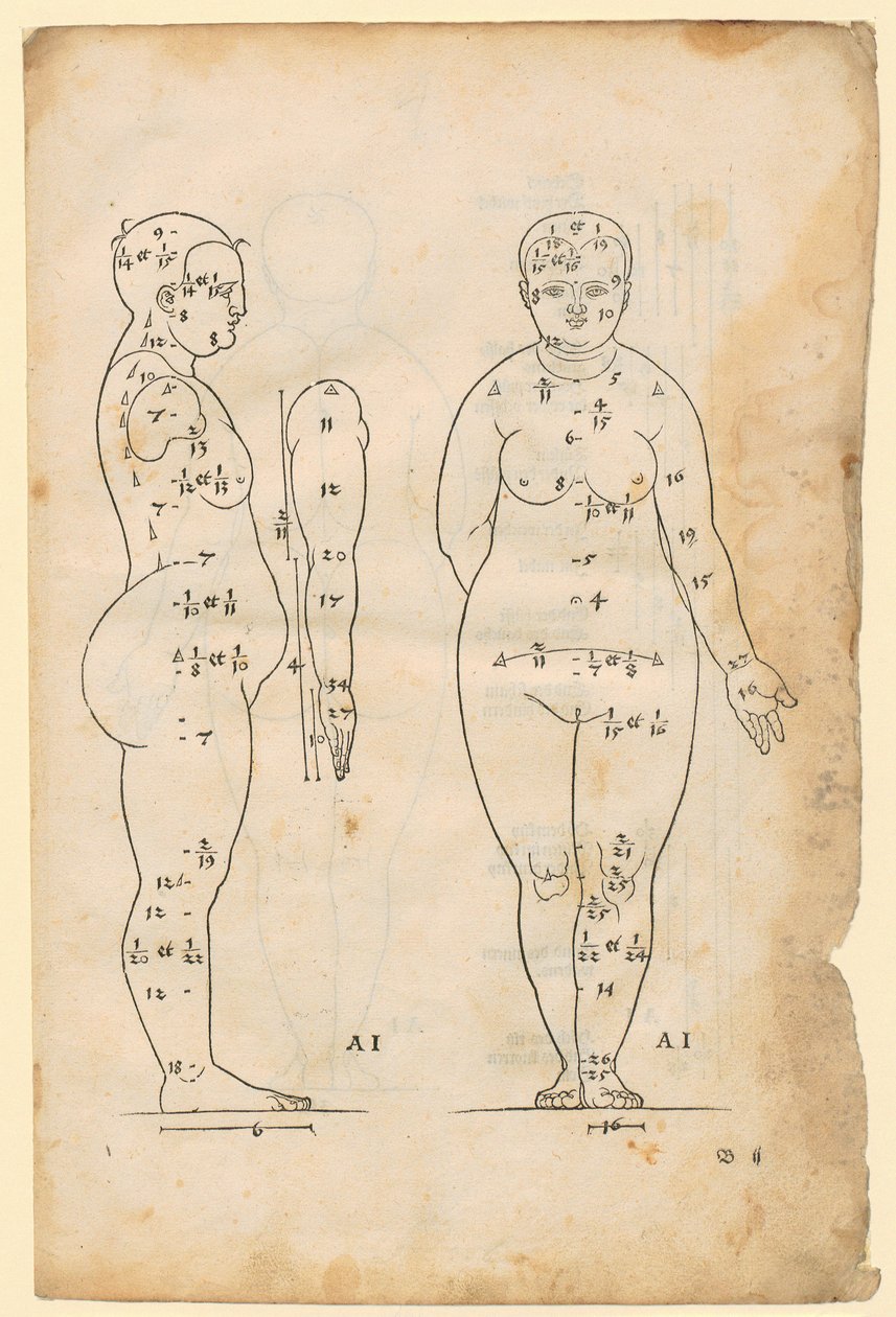 Side- og frontvisning av kvinnen på 7 hodelengder (type AI), arm i sidevisning, fra «Die Proportionenlehre» av Albrecht Dürer