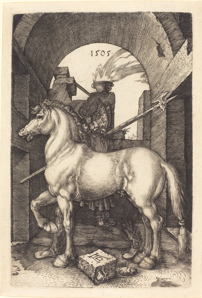 Liten hest av Albrecht Dürer