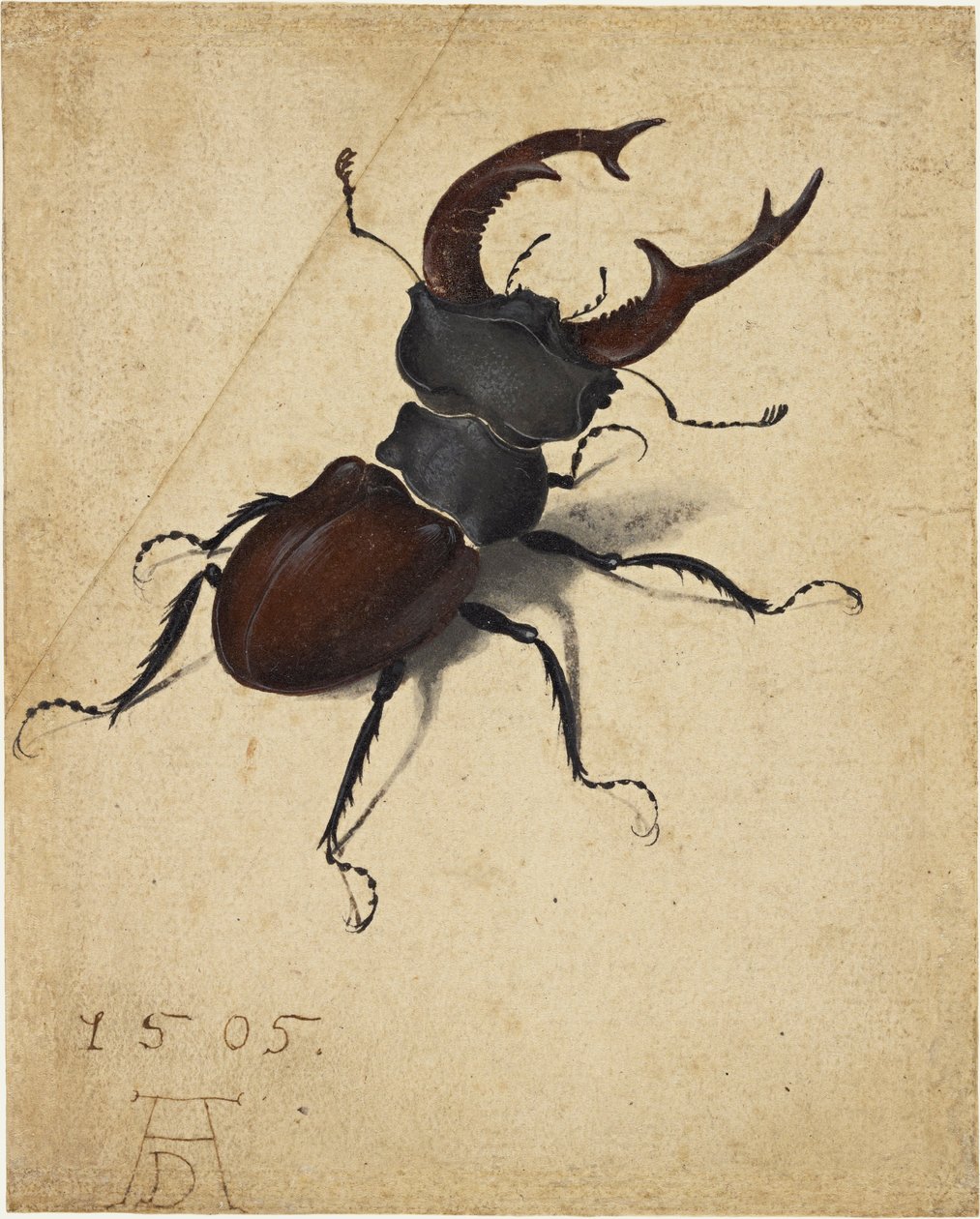  av Albrecht Dürer
