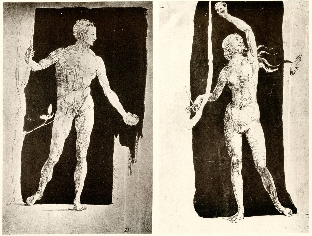 Studier om Adam og Eva av Albrecht Dürer