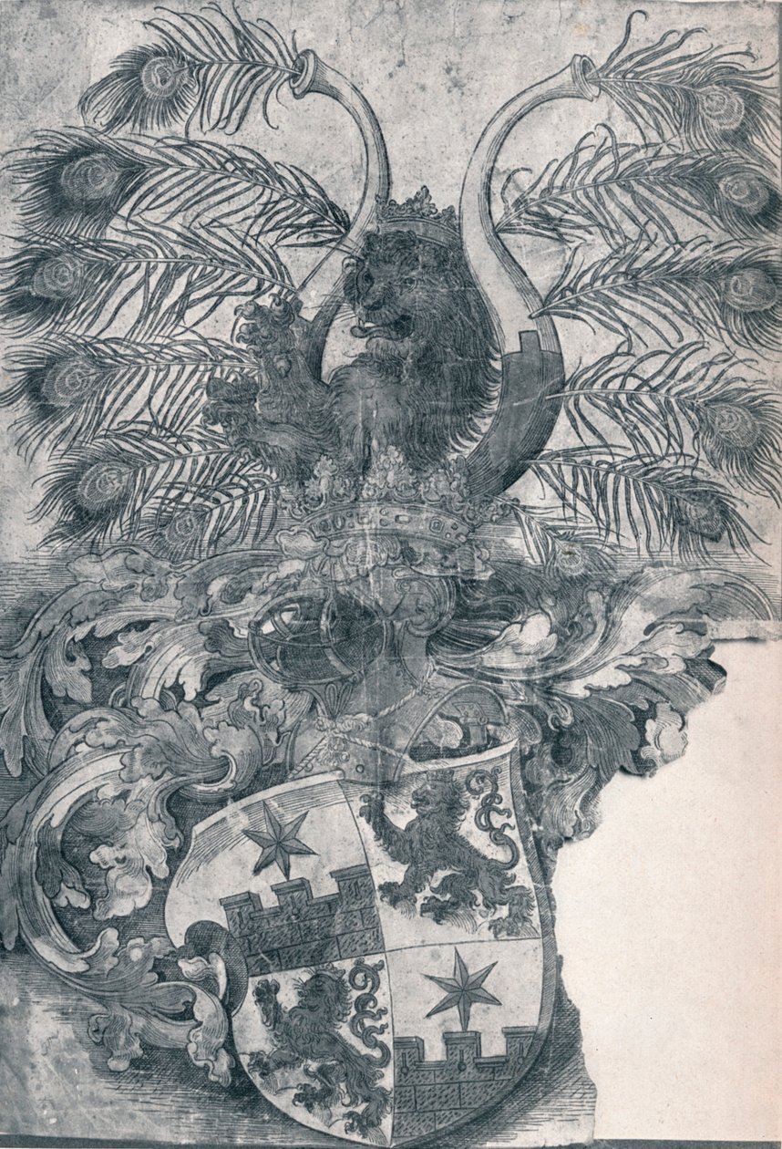 Våpenskjoldet til Wilhelm og Wolfgang Roggendorff, 1520 1906 av Albrecht Dürer