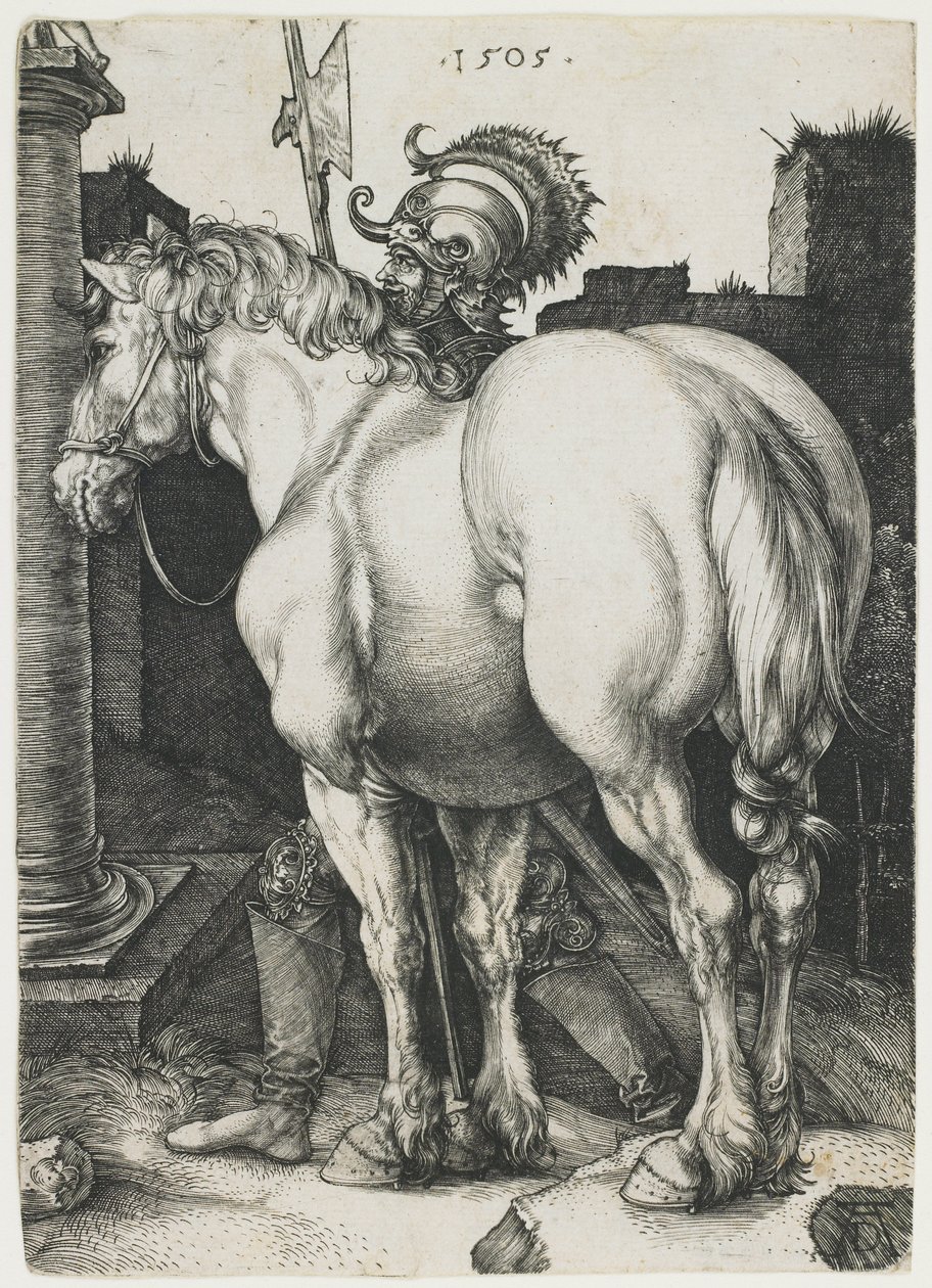 Den store hesten av Albrecht Dürer