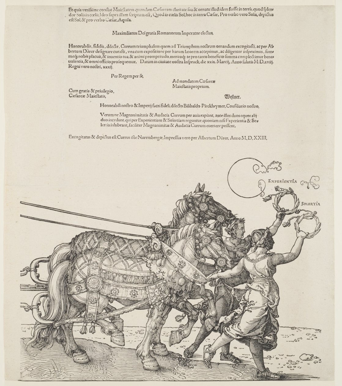 Den store triumfvognen: Erfaring og dyktighet av Albrecht Dürer