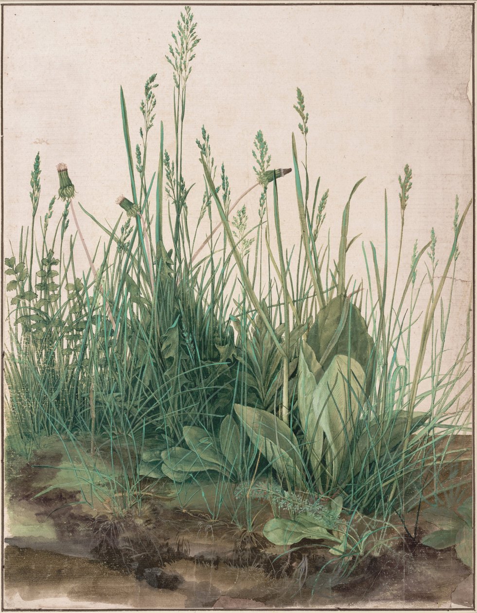  av Albrecht Dürer