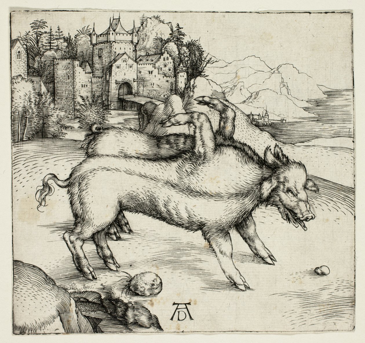 Den monstrøse purken til Landser av Albrecht Dürer