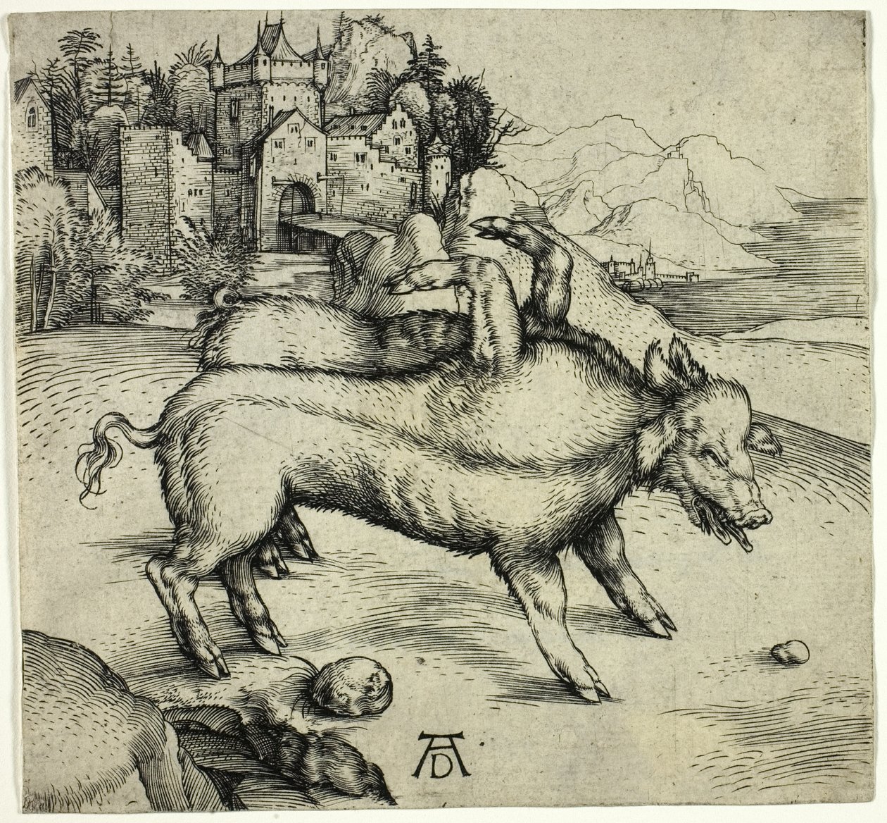 Den monstrøse purken til Landser av Albrecht Dürer