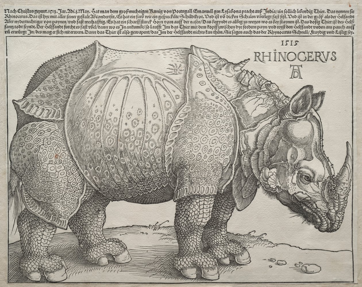 Neshornet av Albrecht Dürer