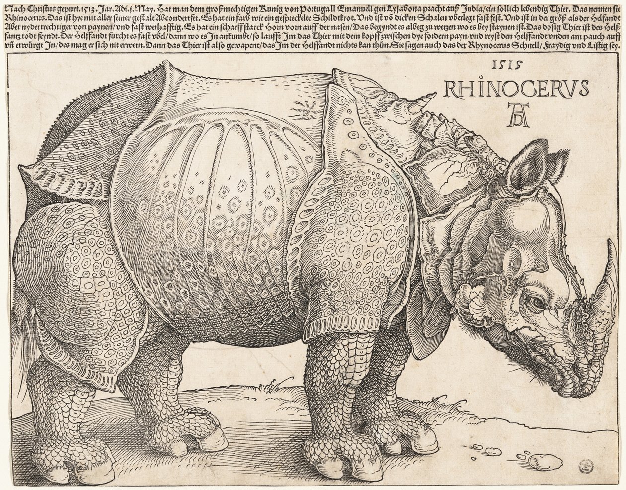 Neshornet av Albrecht Dürer