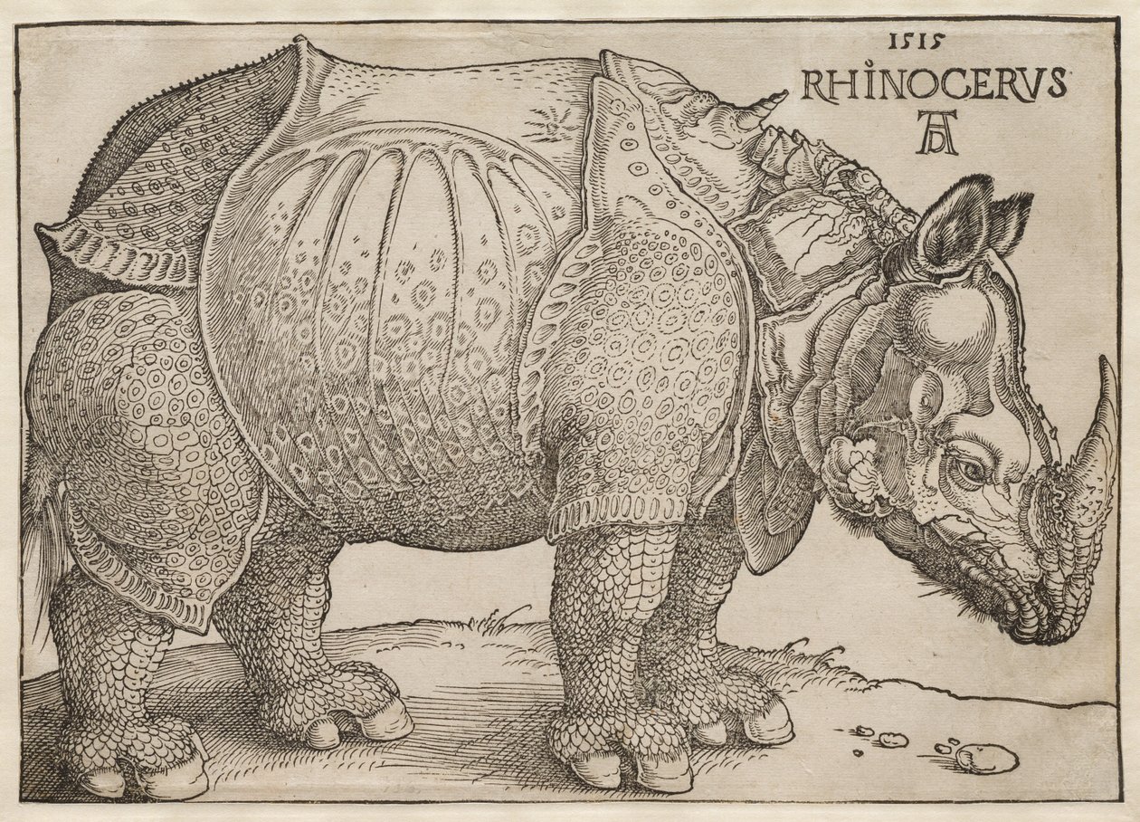 Neshornet av Albrecht Dürer