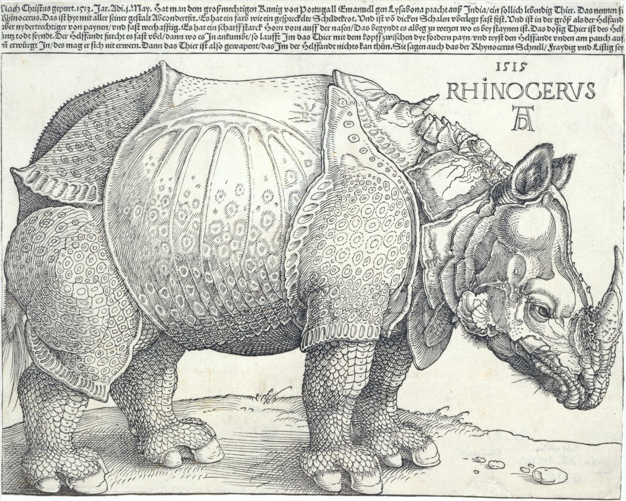 The Rhinoceros, 1515., 1515. av Albrecht Dürer