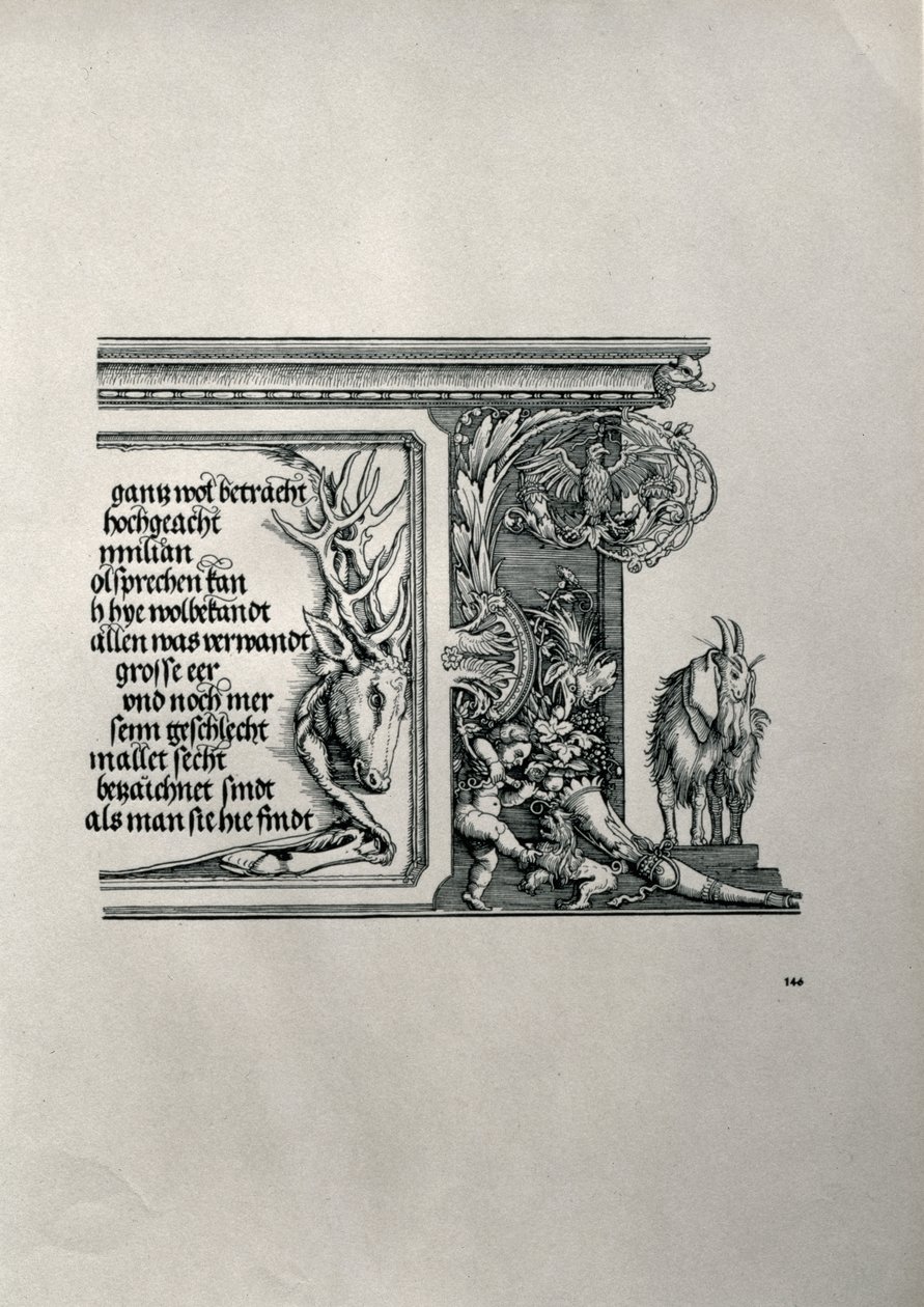 Triumfbuen til keiser Maximilian I av Tyskland 1459-1519: detalj av et hjorteskinn med en inskripsjon som hyller keiserens familieforbindelser, med en geit med floppøre, symbol på skarpheten av hea av Albrecht Dürer