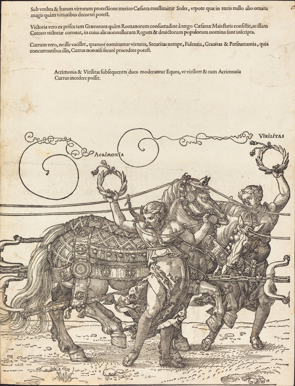The Triumphal Chariot of Maximilian I (The Great Triumphal Car) [plate 6 av 8] av Albrecht Dürer