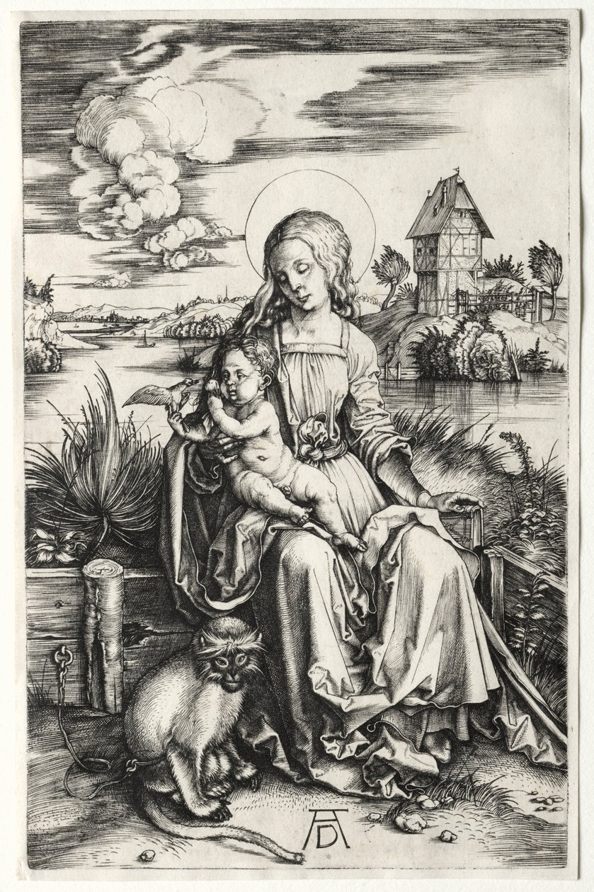 Jomfruen og barnet med en ape av Albrecht Dürer