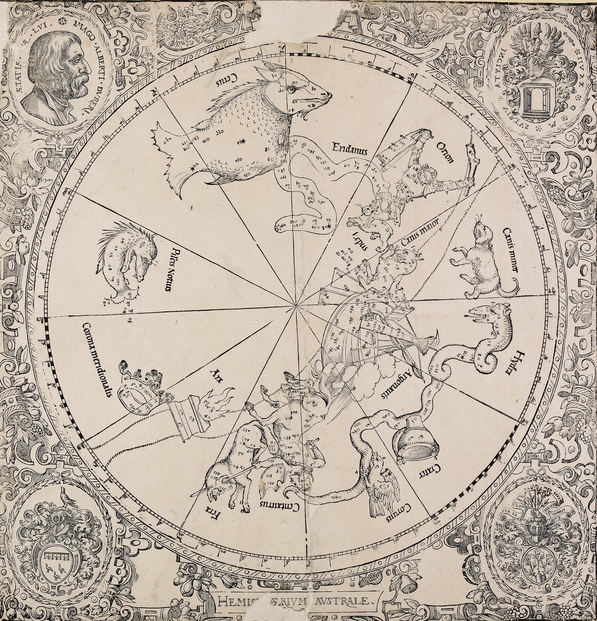 Det chelestiale diagrammet på den sørlige halvkule, tidlig på 1500-tallet av Albrecht Dürer
