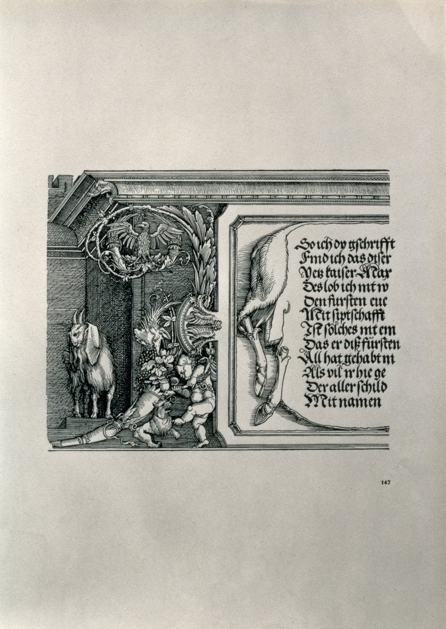 Triumfbuen til keiser Maximilian I av Tyskland 1459-1519: detalj av et hjorteskinn som bærer en inskripsjon som hyller keiserens familieforbindelser, med en geit med diskettører, symbol på akutt å høre alt av Albrecht Dürer