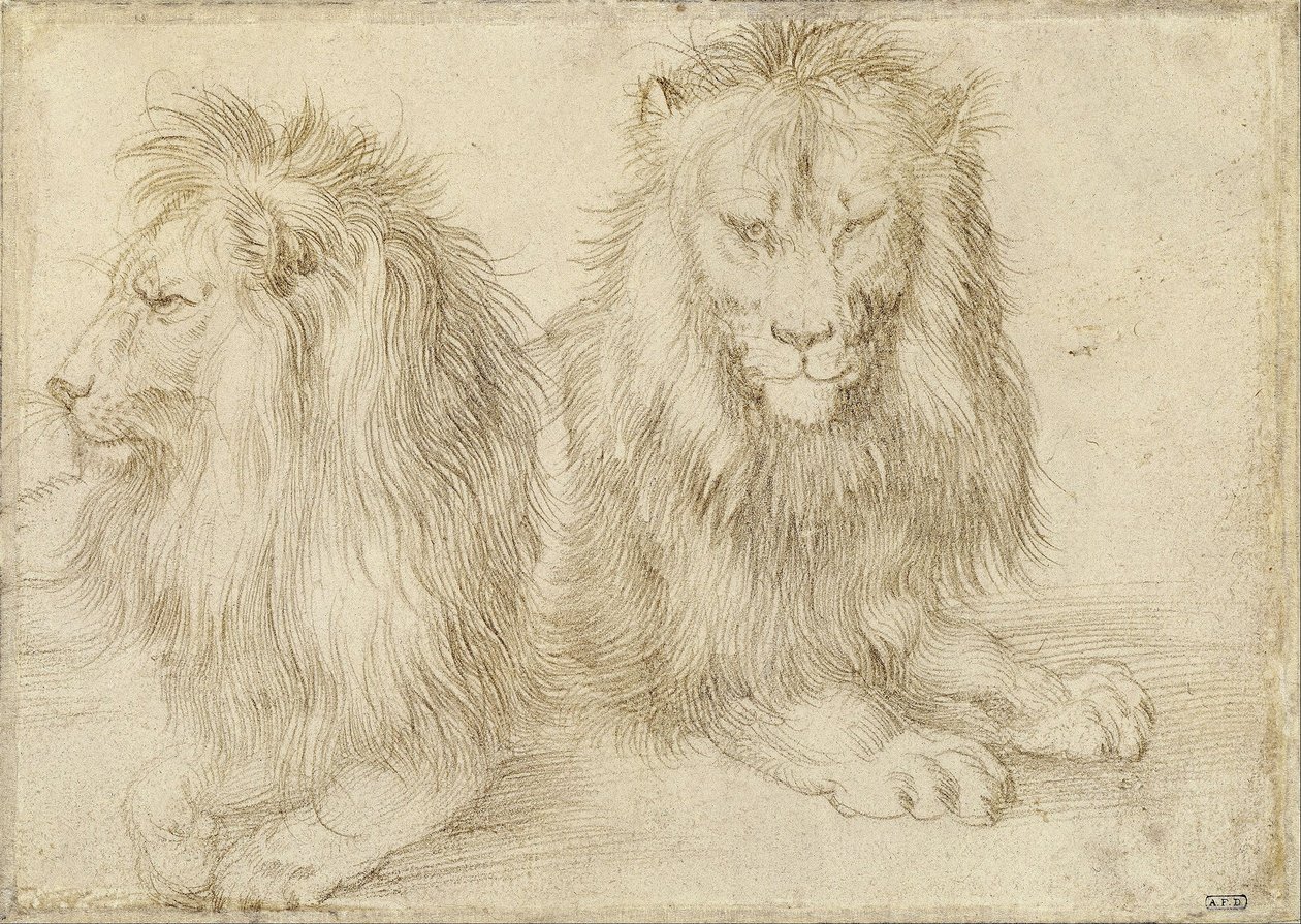  av Albrecht Dürer