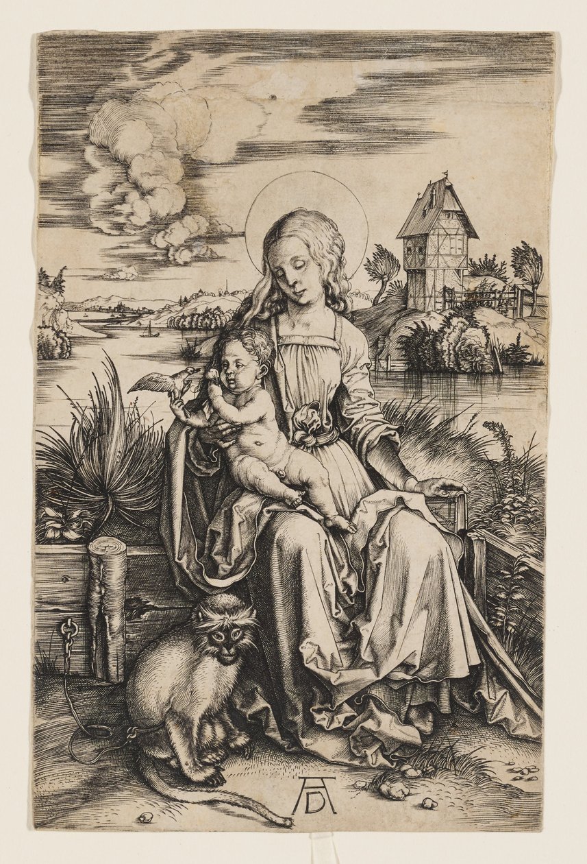 Jomfru Maria med barnet og apen av Albrecht Dürer