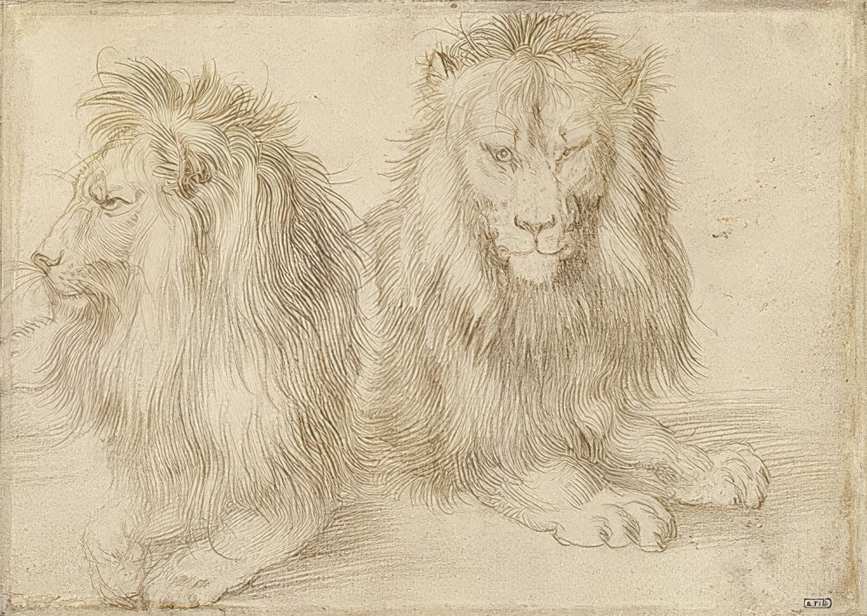 To løgnaktige løver. 1521 av Albrecht Dürer