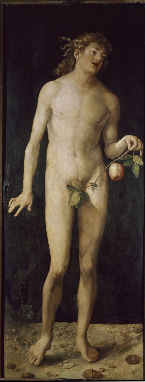Adam (olje på tre av Albrecht Dürer