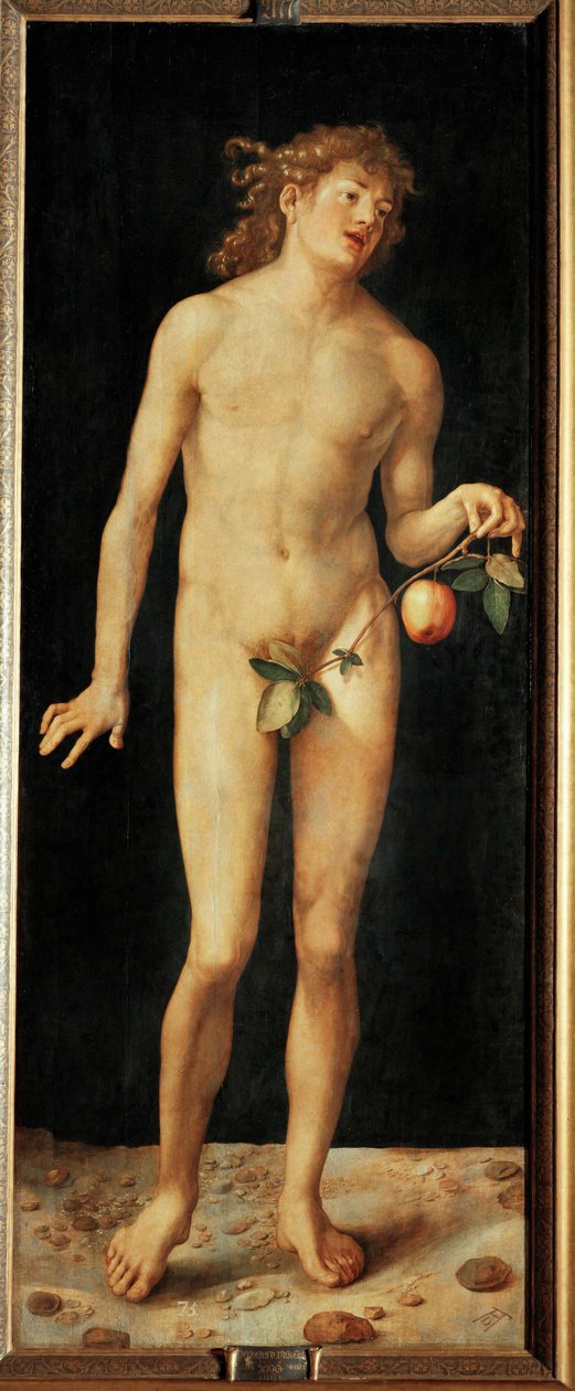  av Albrecht Dürer or Duerer