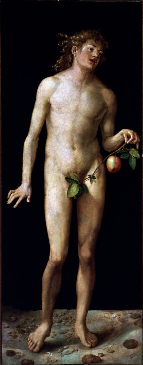  av Albrecht Dürer or Duerer