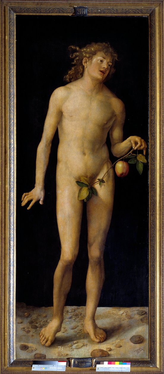 Adam-maleri av Albrecht Durer (1471-1528) 1507 Søn. 2,09 x 0,80 m Madrid, Pradomuseet - Adam. Maleri av Albrecht Durer (1471-1528), olje på panel av Albrecht Dürer