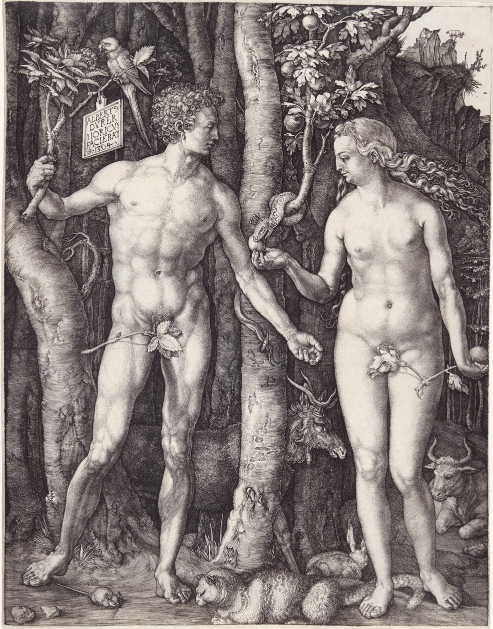 Adam og Eva, pub. 1504 (gravering) av Albrecht Dürer