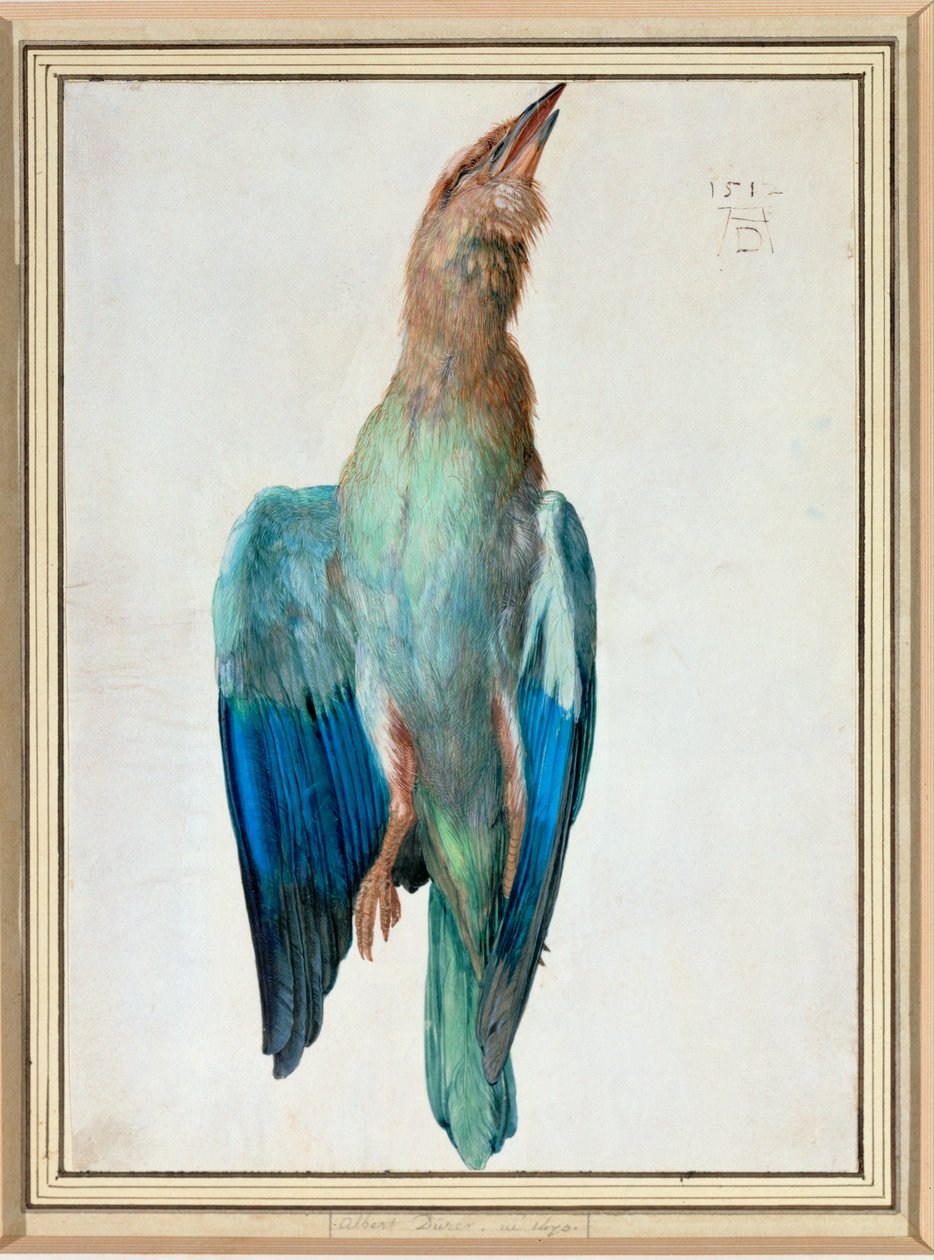  av Albrecht Dürer or Duerer