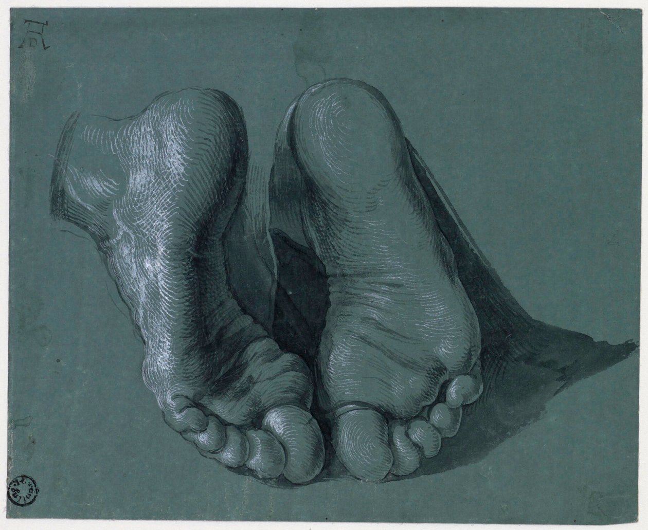Etude de pieds - Study of Two Feet - Tegning av Albrecht Durer (1471-1528), Akvarell, hvit farge, svart kritt på papir, c1508 (17,6x21,6cm) - Museum Boijmans Van Beuningen, Rotterdam av Albrecht Dürer