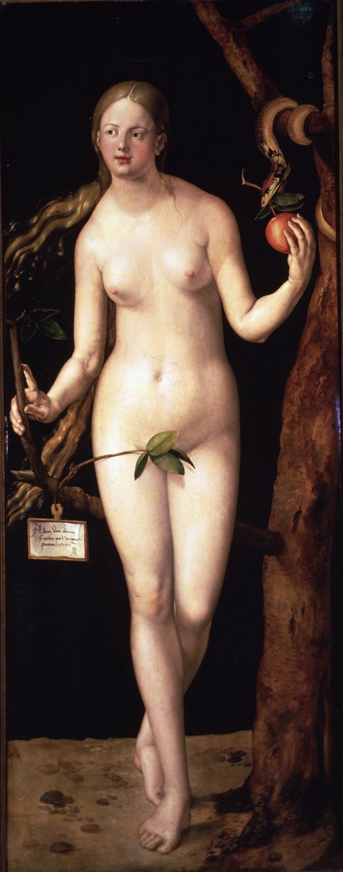  av Albrecht Dürer or Duerer