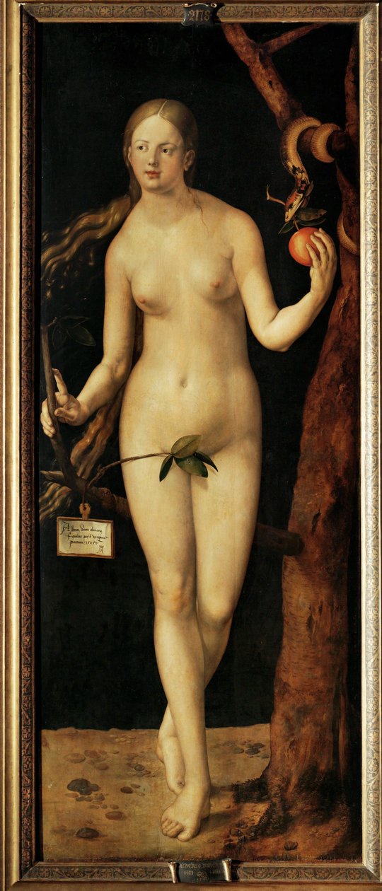  av Albrecht Dürer or Duerer