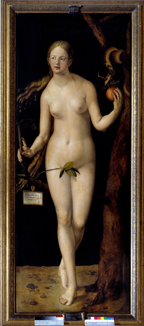 Eve-maleri av Albrecht Durer (1471-1528), olje på tre av Albrecht Dürer