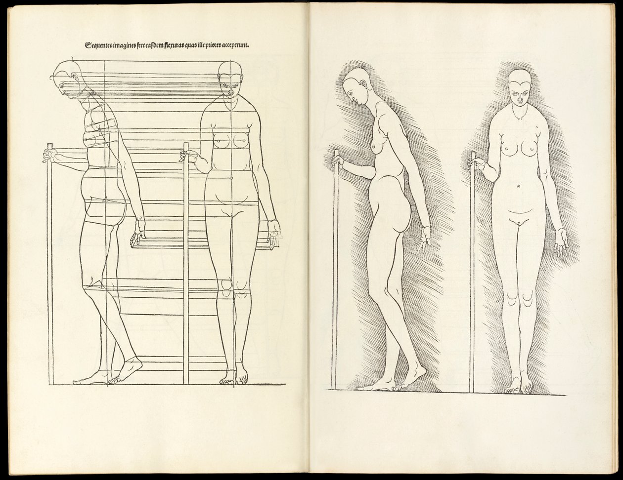 Kvinne med stav, anatomisk tresnitt fra Her er fire bøker av menneskelig proporsjon, 1528 av Albrecht Dürer