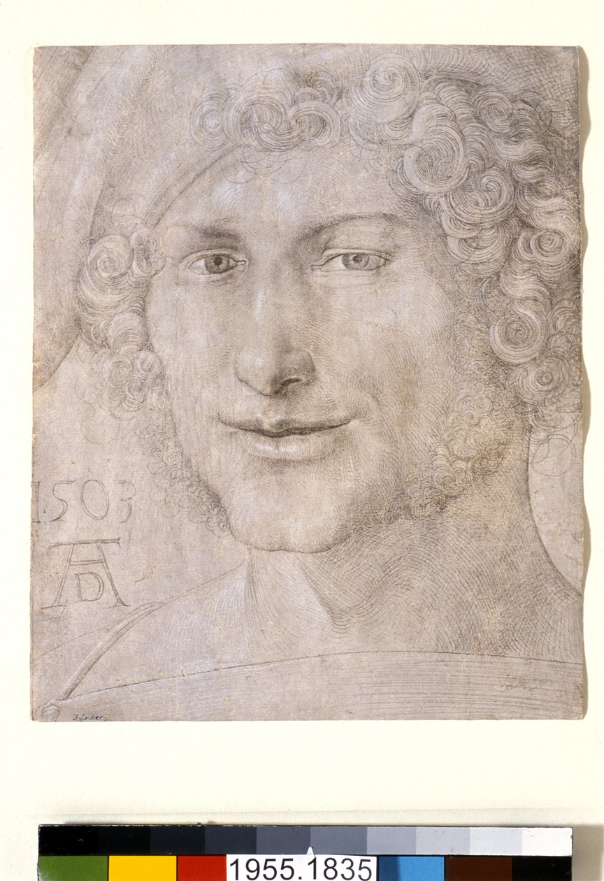 Leder for en ung mann, 1503 av Albrecht Dürer