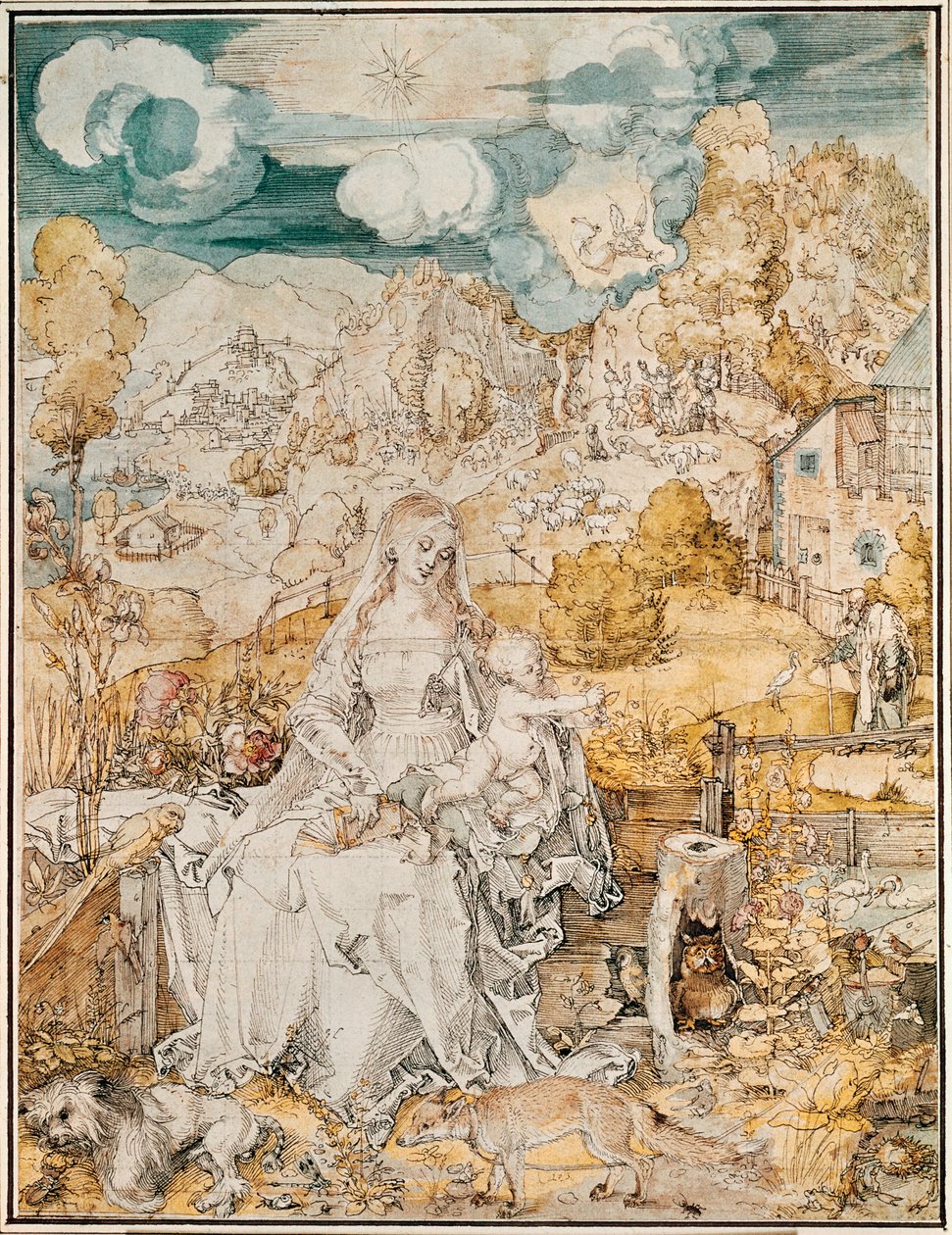  av Albrecht Dürer or Duerer